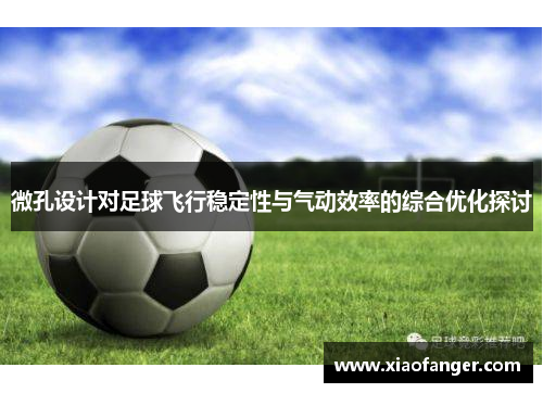 微孔设计对足球飞行稳定性与气动效率的综合优化探讨